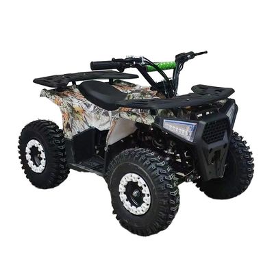 Leistungsstarkes 125cc Benzin Erwachsener ATV Quad Bike mit 12V Spannung und Bremsgewicht von 100-200kg