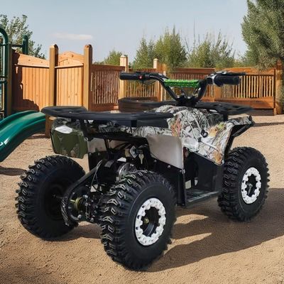 4-Takt-Motor mit Gas-Antrieb Kinder Quad Bike ATV 110cc 125cc 150cc Vierrad mit CE