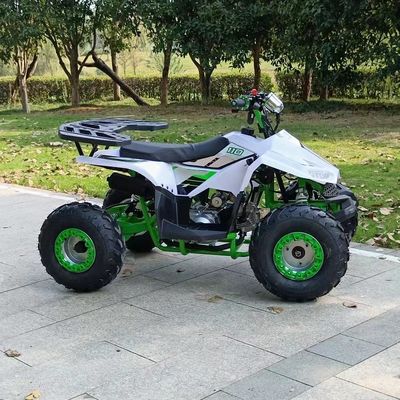 1000W 110Cc Automatischer Kettenantrieb Cuatrimoto Bike 70 110 Mini Benzin ATV Kind Gas