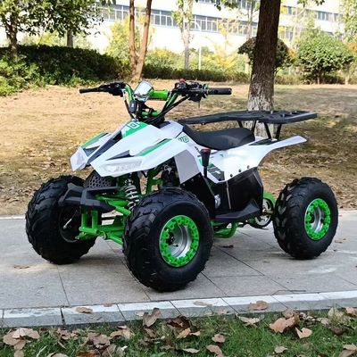 50Cc 70Cc 90Cc 125cc Platzverlagerung Kindereinheit Quad ATV für Offroad Abenteuer