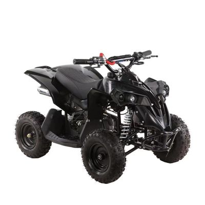 Mini Kids Quad Bike ATV mit automatischem Kettenantrieb und 49cc Motor