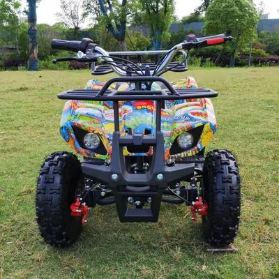 36V 500w 4 Räder Offroad Motorrad Buggy Erleben Sie die Kraft des Kettenantriebs