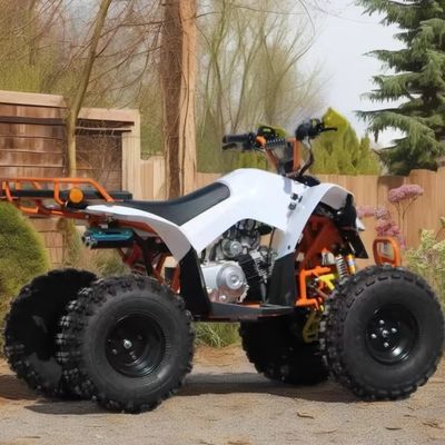 110cc-125cc Automatisches ATV für Erwachsene CE zugelassen 8 Zoll Reifen Benzin Quadbike Große Räder