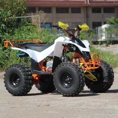 Kinder-Wirtschafts 110cc Automatisches Kettenantrieb ATV mit Fronttrommel und hinteren Scheibenbremsen