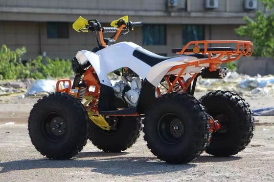 Kinder-Wirtschafts 110cc Automatisches Kettenantrieb ATV mit Fronttrommel und hinteren Scheibenbremsen