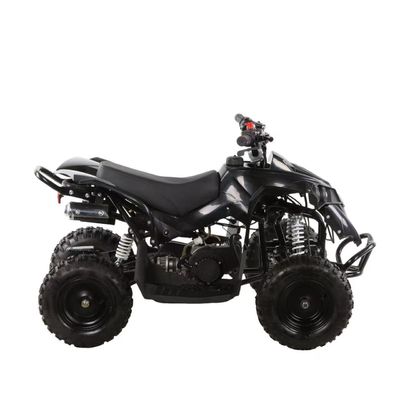 49cc Kinder ATV 4 Räder Kinder 4x4 Side by Side Mini ATV mit Kettengetriebe