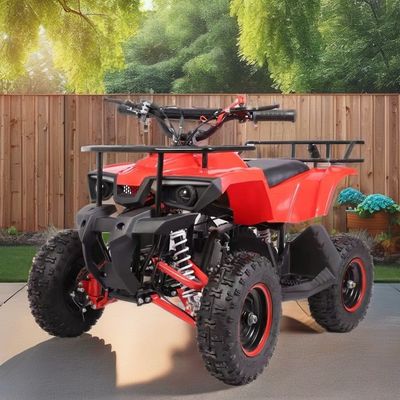 49 CC Mini Quad mit niedrigem Kraftstoffverbrauch Maximaldrehmoment Nm ≤20Nm Brennstoffgas / Diesel
