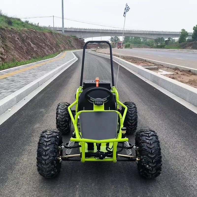 1000 Watt starke Motoren Elektrokarte für Erwachsene 2024 Modell und hohe Leistungsfähigkeit
