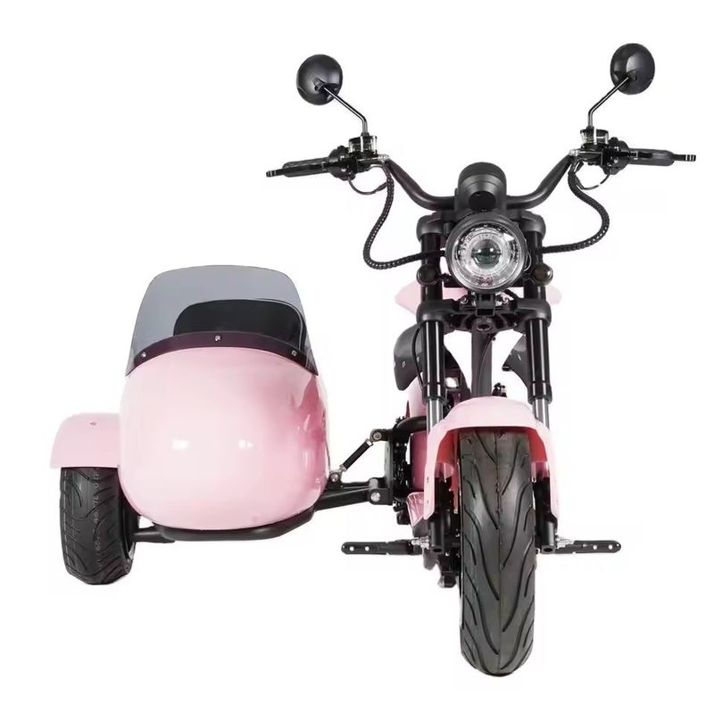 Elektrische Sidecar Motorrad mit Haustierträger 1000W-3000W 60-80km Reichweite 41-50km/h Maximalgeschwindigkeit