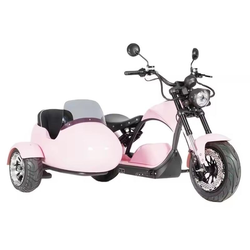2000 Watt Dreirad Fettreifen Elektro-Ladenträger Fahrrad perfekt für Ihre B2B Bedürfnisse