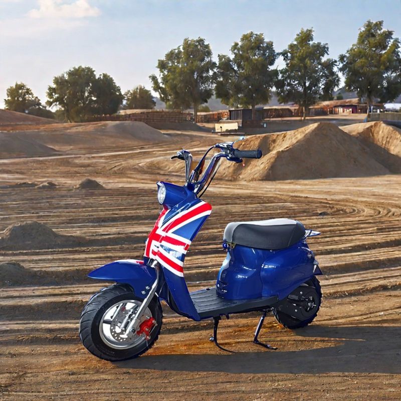 DISC Bremse 49cc Gasbetriebenes Mini Dirt Bike für Kinderspaß im Freien in individuellen Farben
