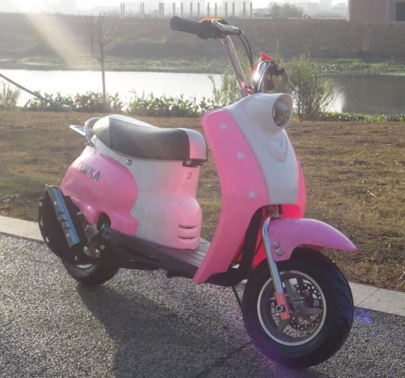 Kinder fahren auf Elektromotorrad 350W Dirtbike mit 3 Drehzahlgetrieben und Stahlrahmen
