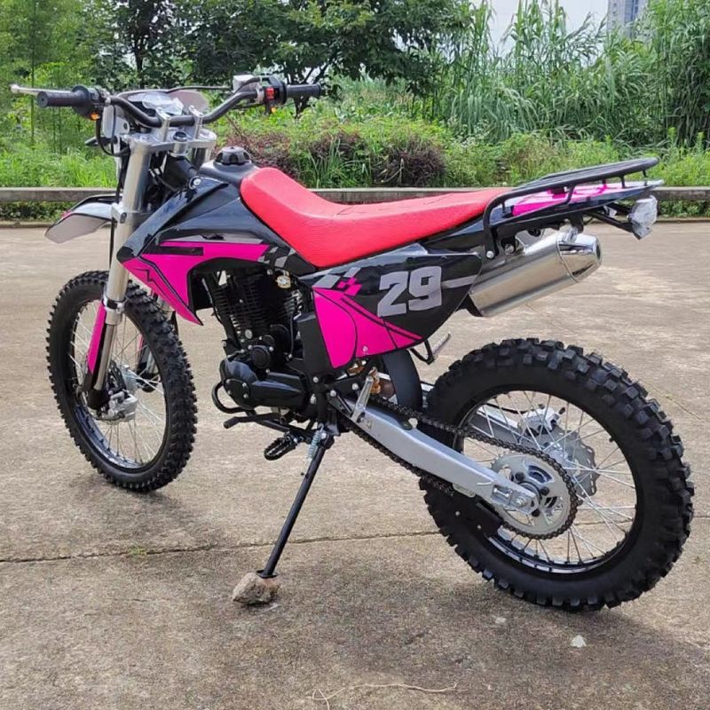 Erleben Sie die Leistung des 250cc Electric Start Gas Moto Cross Dirtbike für Offroad