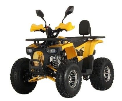 110cc Elektrischer Start Mini Quad Vierräder für Kinder Kettenantrieb Automatik 125cc