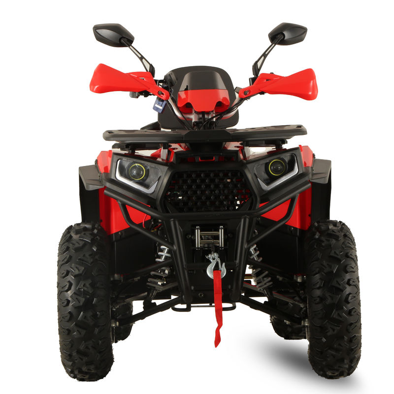 High Power GY6 200CC/250CC Automatisches Quad Bike für Erwachsene 10INCH Farm ATV Off Road