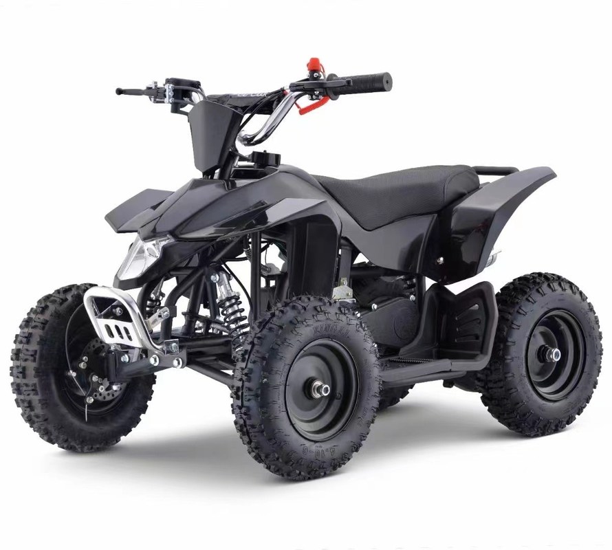 Aotong 49cc 50cc Kids Mini ATV Vierräder Quadbike mit Pull Start Bordsteiggewicht ≤100kg
