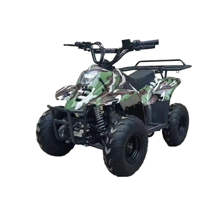 70CC/110CC Automatisches ATV 4 Schlag Teen Racing Quad 125CC All-Terrain Beach Buggy