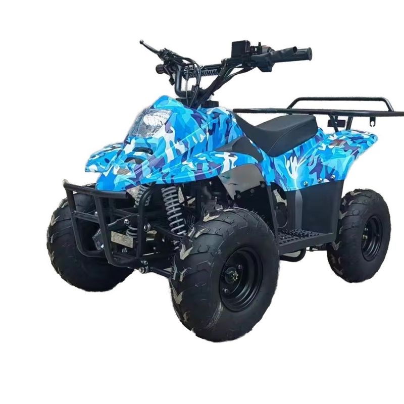 125CC All-Terrain Beach Buggy Kraftstoffgas 70CC/110CC Automatisches Quad ATV Buggy für Jugendliche Rennen