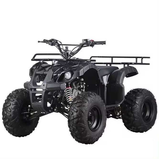 125cc 110cc Kids Atv Quad Mini Quad Motorrad für Kinder Umkehr-Budget-freundlich