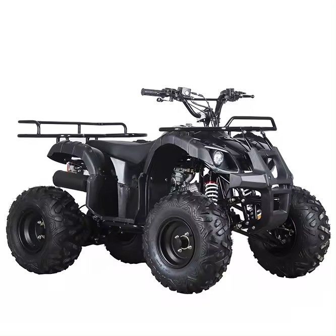 Kettenantrieb 110cc/125cc 4-Takt All-Terrain Vierrad-Strand Buggy Benzin Quadbike