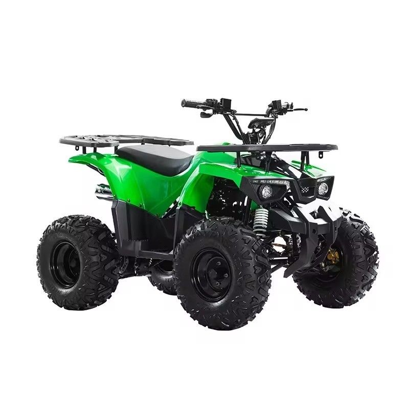110cc 125cc Kettenantrieb ATV mit CE-Zertifikat Höchstgeschwindigkeit 50-75Km/h und Materialien