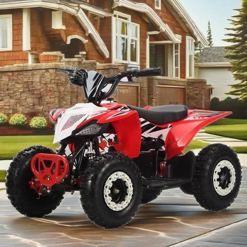 36V Kids Quad Electric 1000w Atv 125cc 6 Zoll Automatisches Quad Motorrad für Kinder 2WD