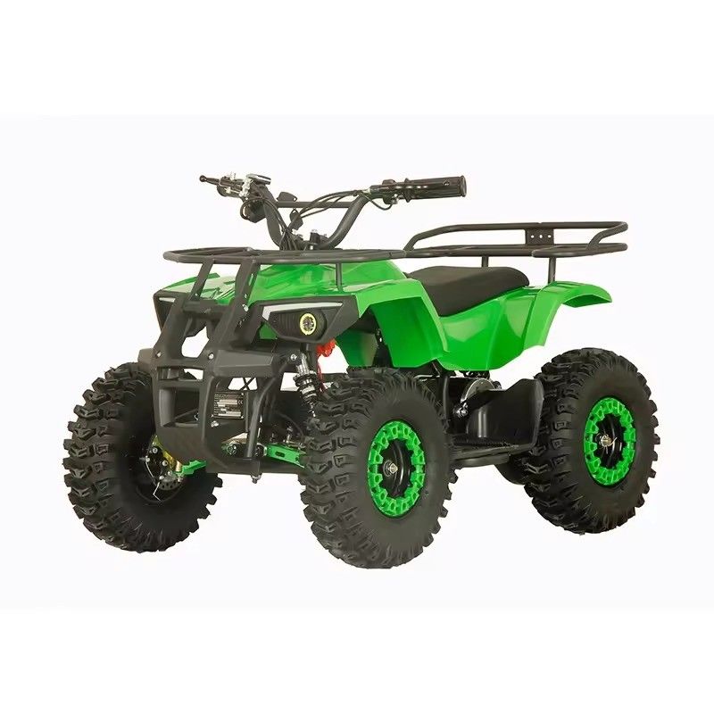 Straßenrechtliche 1200W ATV Vierräder Quad Bike mit 2WD und 30-50km Fahrleistung