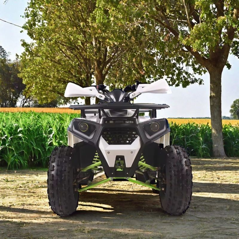 125cc Gasbetriebenes ATV Quad Bike mit einer Mindestfreiheit von 100-150 mm