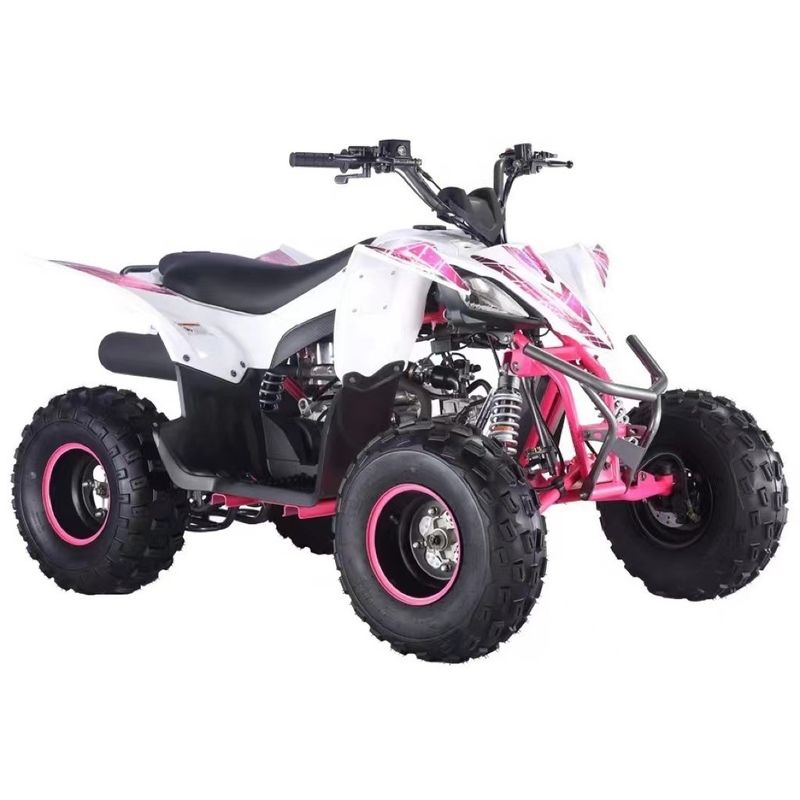 125cc Aotong Motor ATV Farm Quad Bike Automatisches Getriebe benutzerdefinierte Farben unterstützt