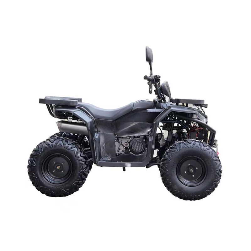150cc Motor, eigens angefertigte Stahlröhre, automatisches Atv Utv Teile Zubehör für zwei Personen