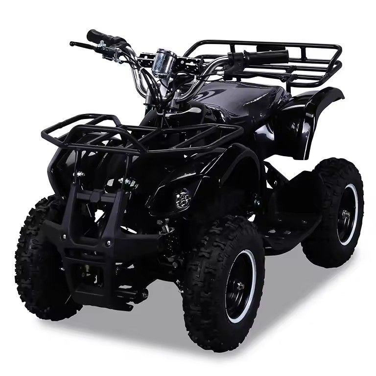 600-1000 mm Radstand 36V 800W Mini-Elektro ATV mit CE- und CHAIN DRIVE-Getriebe