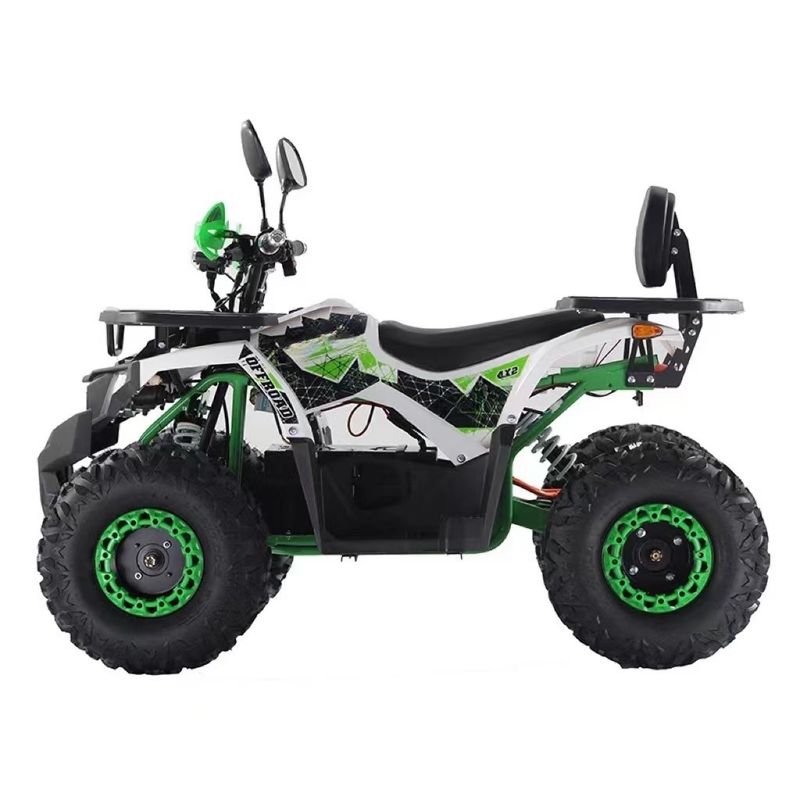 2WD Fahrt Typ Aotong Motor 1000W Elektro-Side-by-Side ATV mit 60V 20AH Batterie