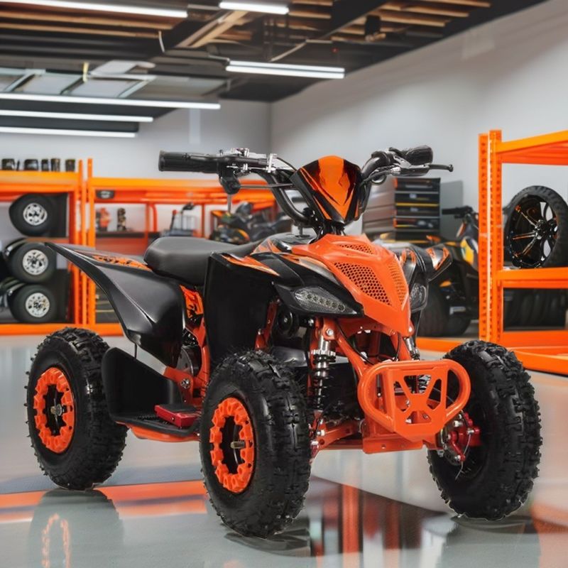 2WD Aotong Motor 800w1000W 36V Off Road Quad ATV Quad Bikes mit Kettengetriebe
