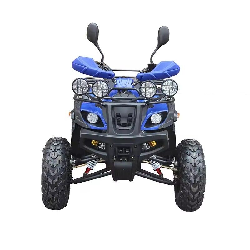 Maximaldrehmoment Nm ≤20Nm Vierräder Offroad ATV Motor 250cc mit Radstand 600-1000mm
