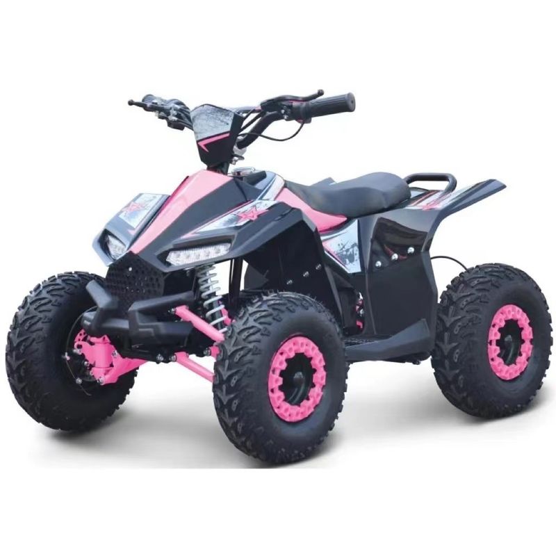 Höchstdrehmoment von 40-60Nm 1000W elektrische Side-by-Side ATV für unschlagbare Leistung