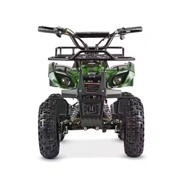 Customzied unterstützte Farben Mini Electric ATV Electric Quad für Kinder 1000W 36V
