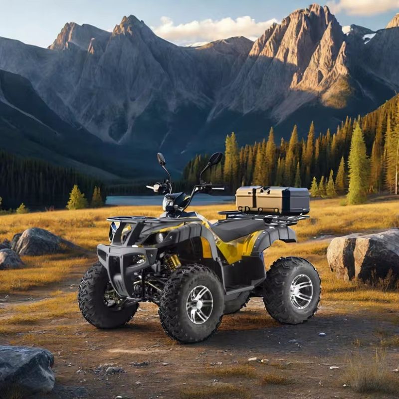 DISC Bremsen Elektrisch 3000w Düne Buggy für Erwachsene 1500w*2 UTV ATV 4x4 Off-Road Fahrzeug