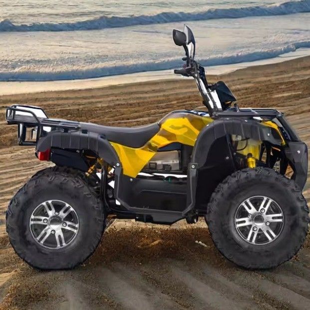 Maximalgeschwindigkeit 50-75 km/h 3000 Watt elektrisches ATV mit 4WD und 60v Automatikgetriebe