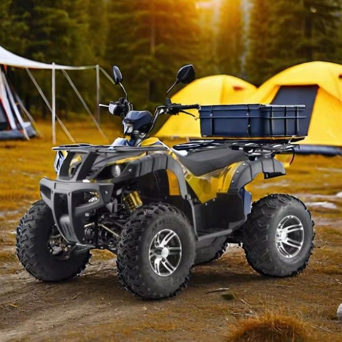 3000W 2WD/4WD ATV UTV Straße Vierrad Offroad Motorrad mit wechselbarem Fahrtyp
