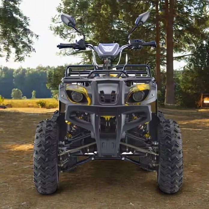 Leistungsstarker 3000W 1500W 4WD 4x4 Moto ATV UTV 1000cc Quad ATV mit Radstand 1800-2200mm