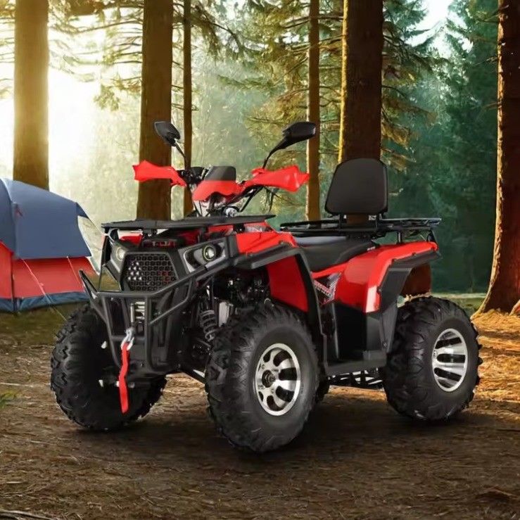 200cc 2X4 4X4 Straße legal ATV Quad Bike für Erwachsene Platz 200cc Zylinder Nummer 1