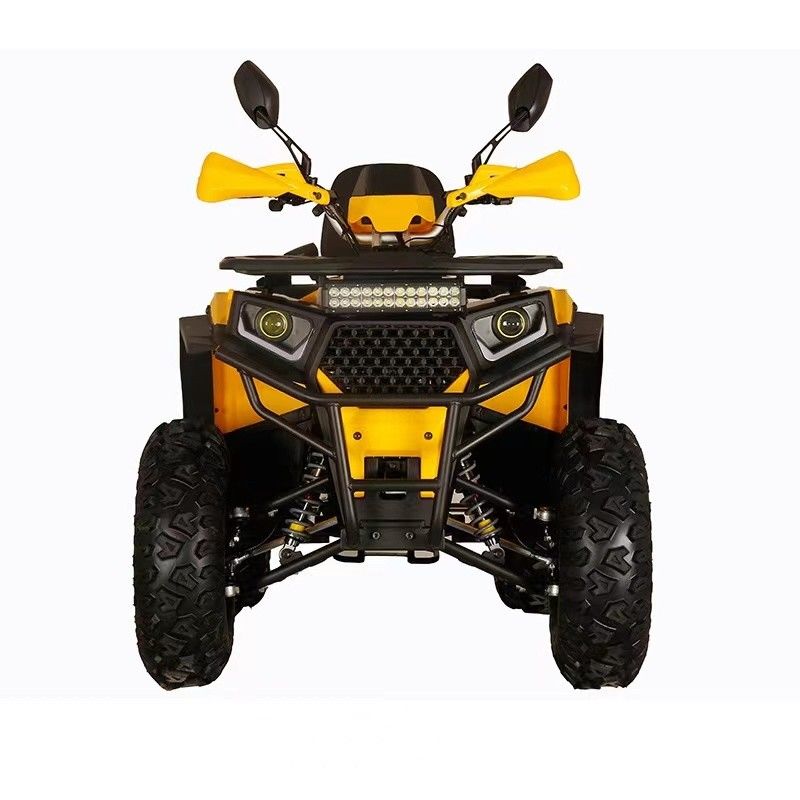 Vierradantrieb Erwachsener 200cc 250cc Automatisches Motorrad ATV mit Hochspannung 12V