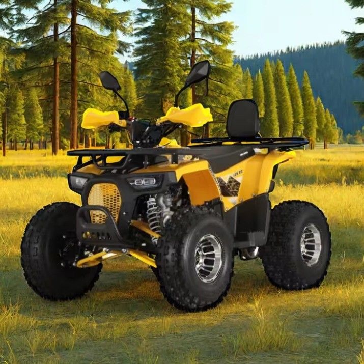 125cc Farm Quads ATV für Erwachsene Kraftstoff / Dieselmotor und Kettenantrieb