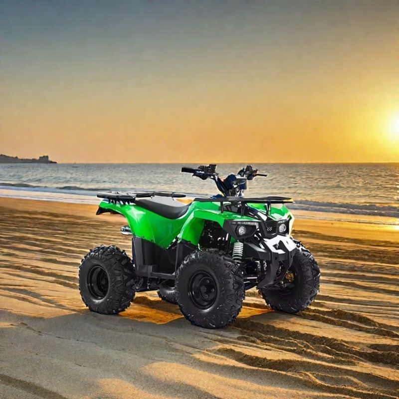 Automatisches Getriebe Typ Aotong Motor 110cc 125cc 150cc Cuatrimoto ATV für Erwachsene