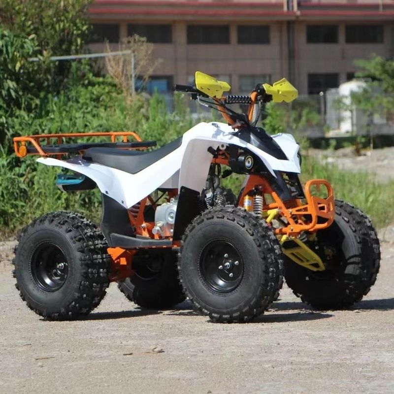 150cc 200CC 250CC Automatisches Getriebe Vierräder Off-Road Quad Bike ATV für den Berg
